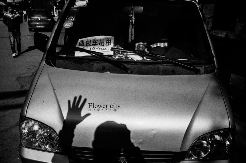flower city-12