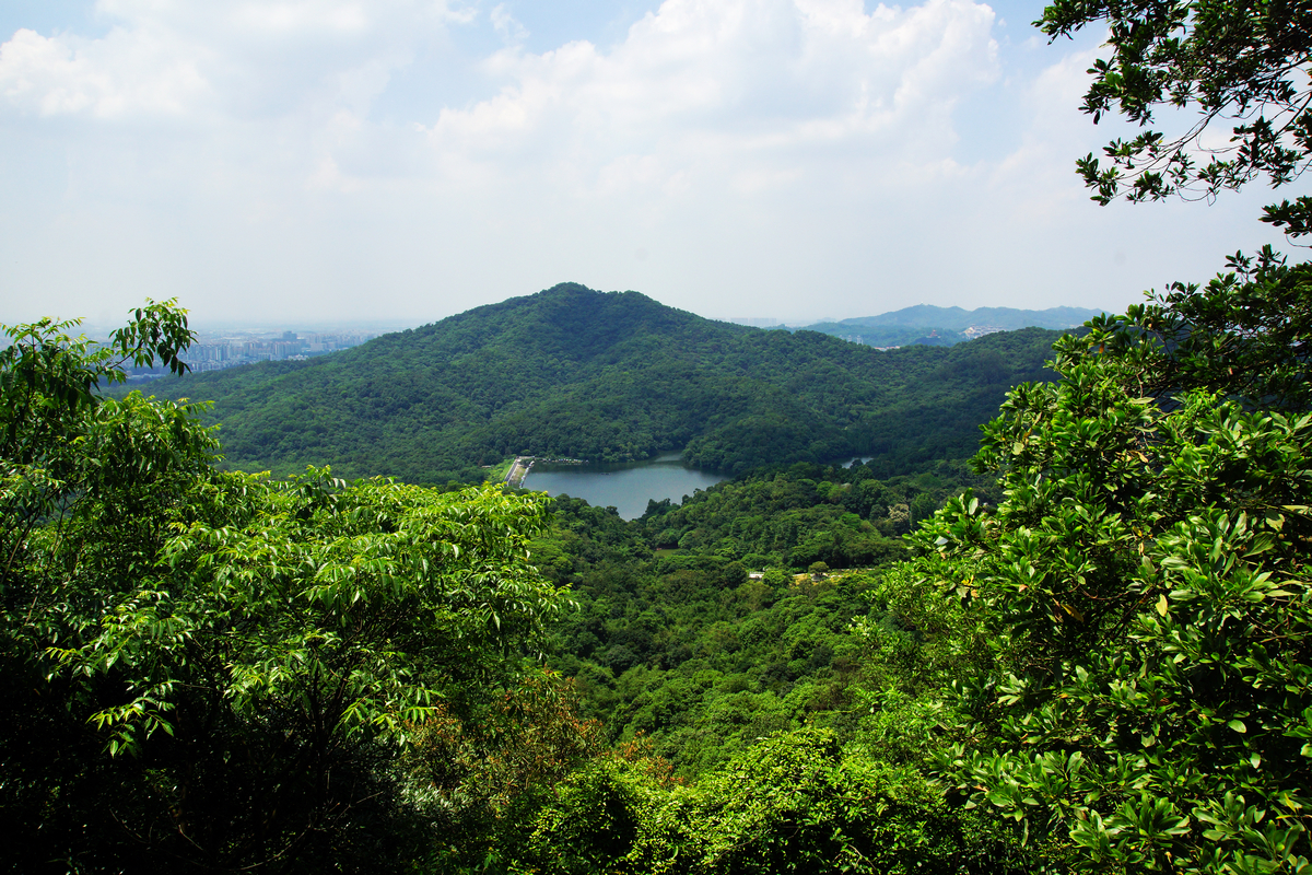 风和日丽