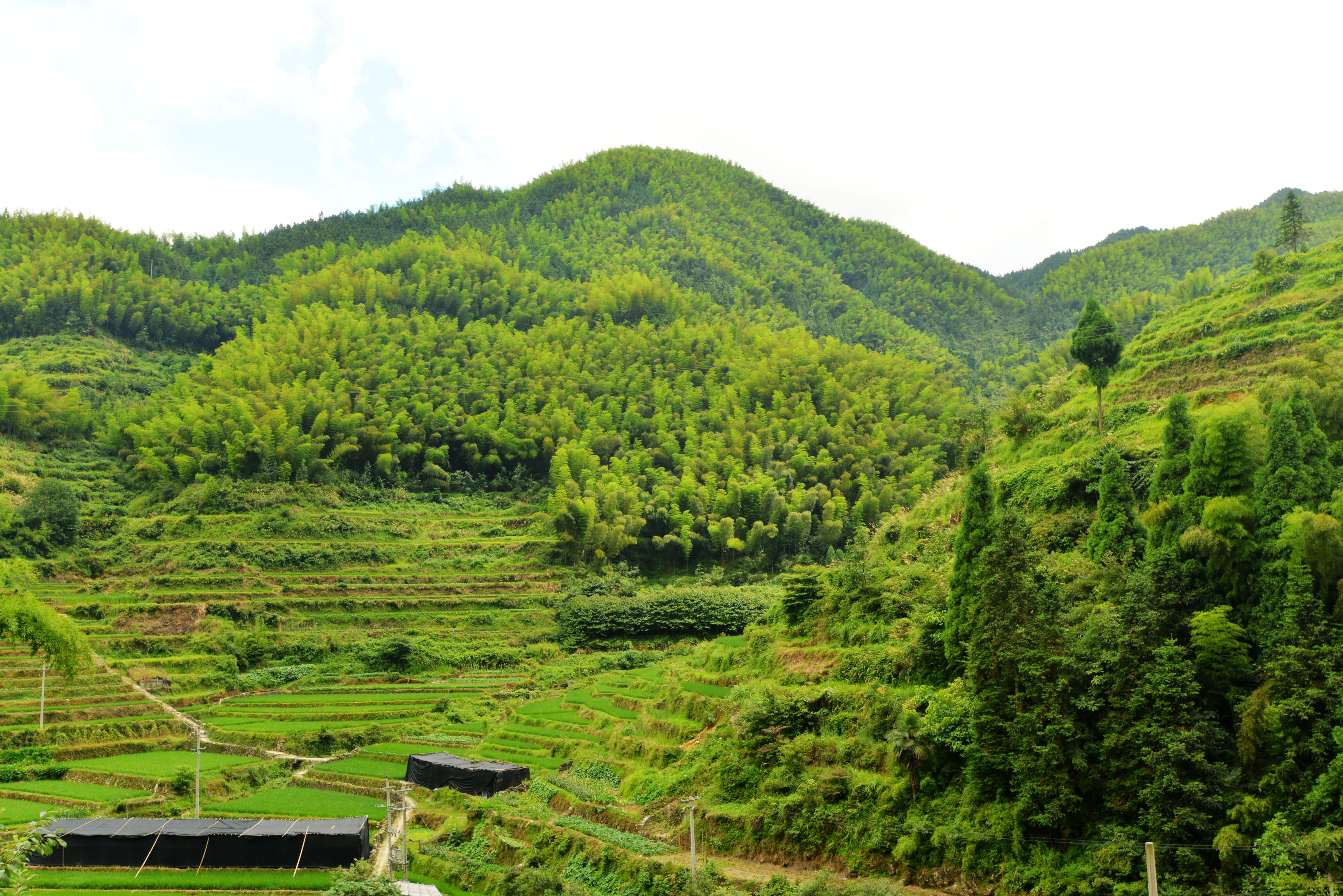 梯田深处的小村