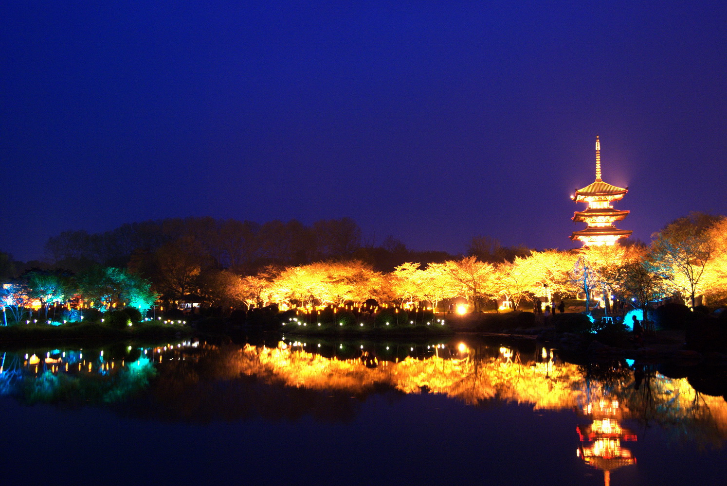 东湖夜景