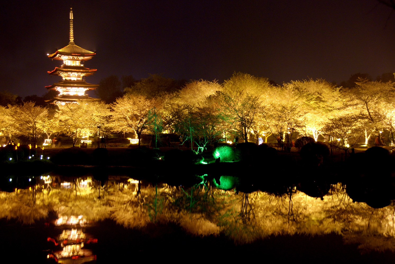东湖夜景