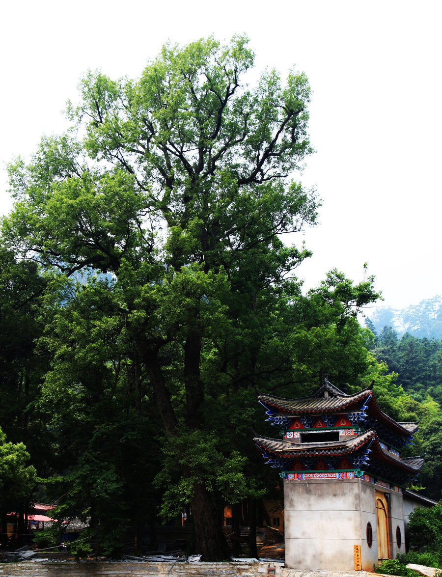 庐山栖贤寺 太乙村