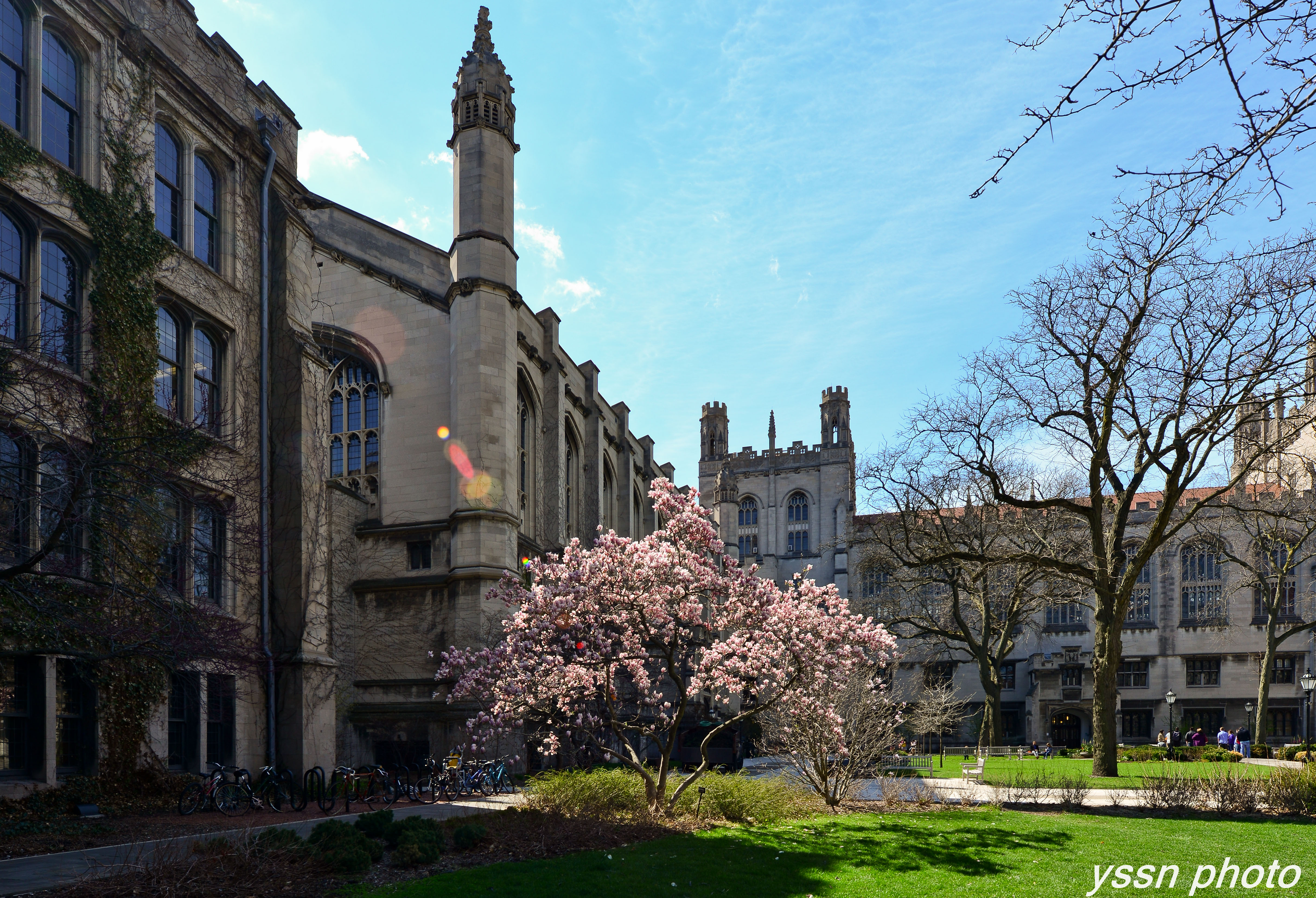 芝加哥大学风光