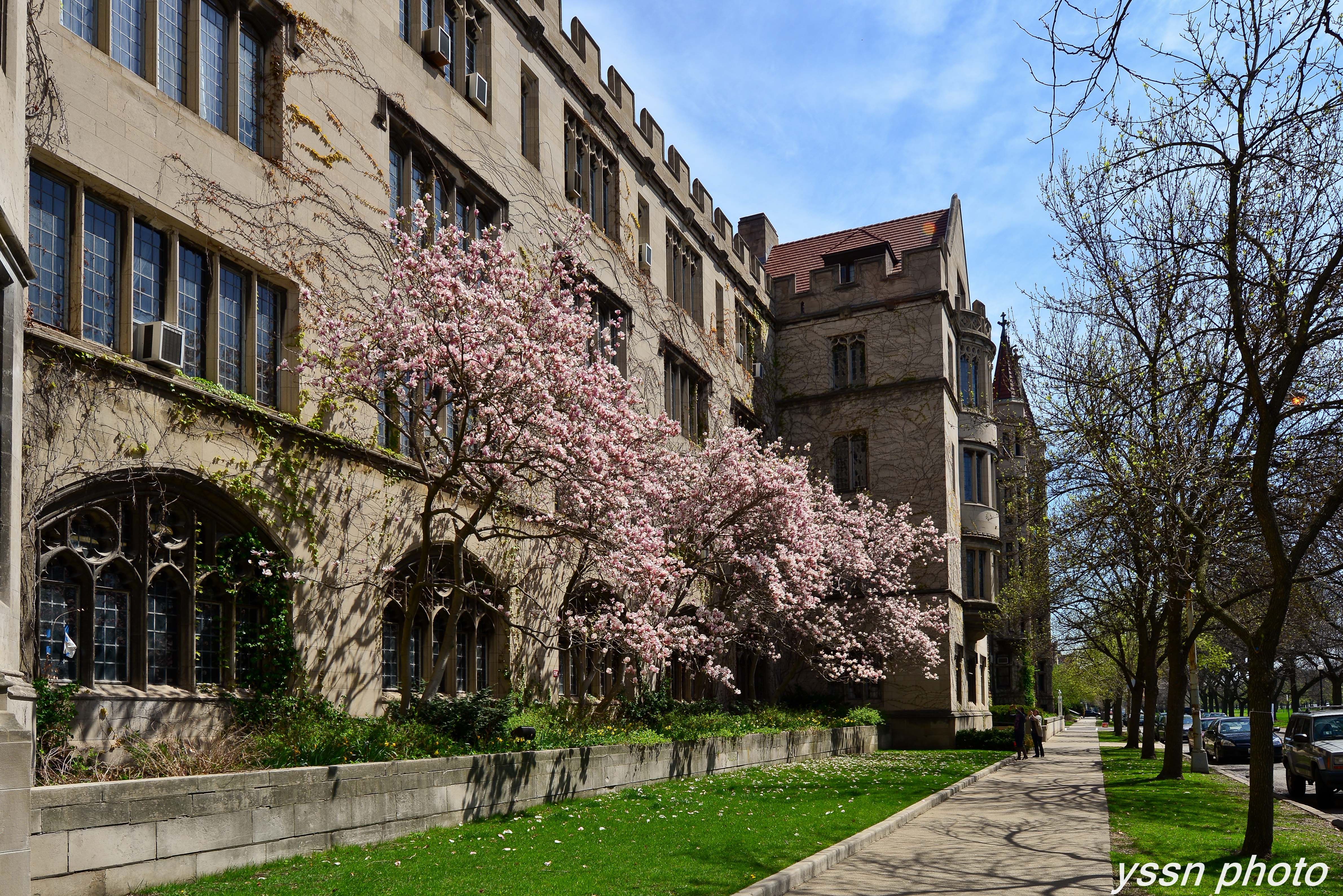 芝加哥大学风光