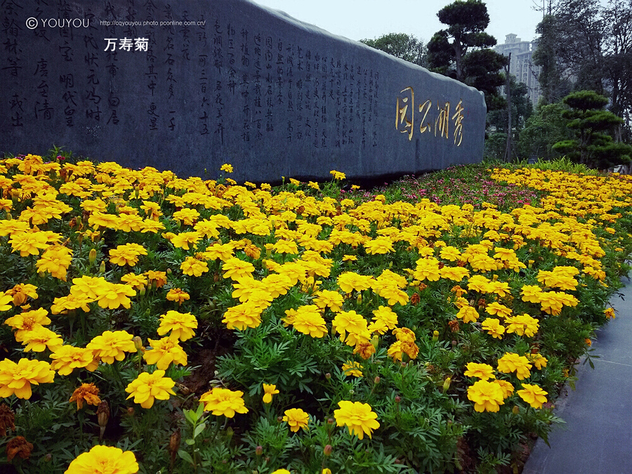 【璧山秀湖公园摄影图片】重庆风光旅游摄影