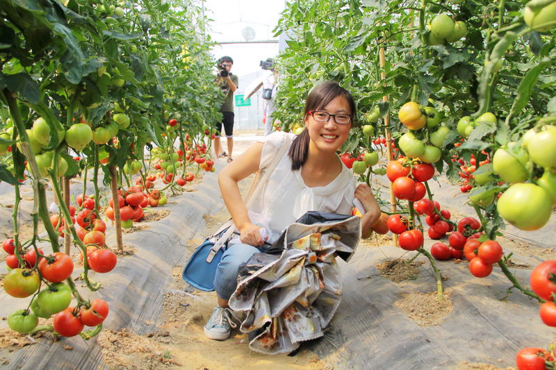 瓜果采摘----"瓜果飘香绿溪洲"第二届花岗瓜果采摘节纪实!