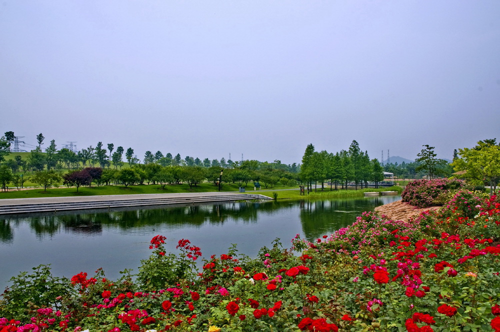 都市园林(11)--上海辰山植物园