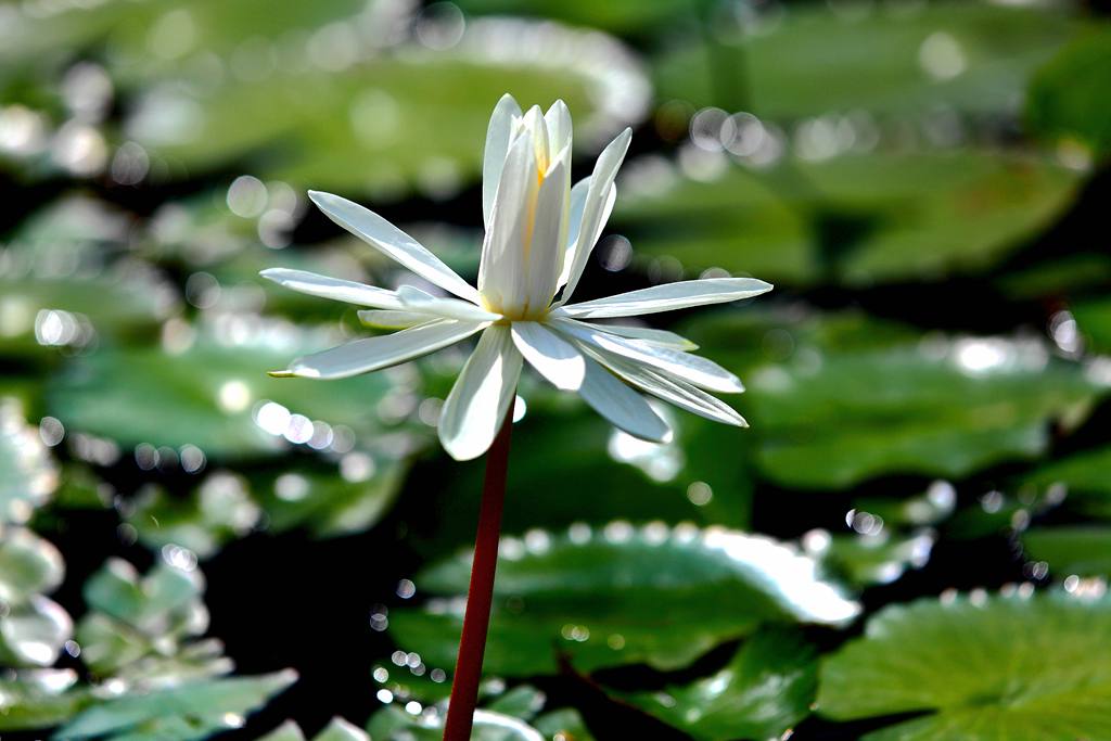 萍水相逢