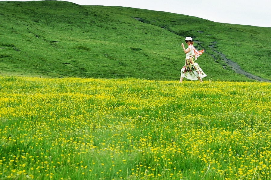 【我和草原有个约定摄影图片】四川·红原风光