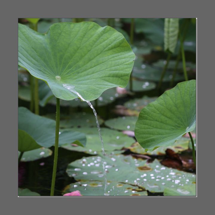 水满则溢