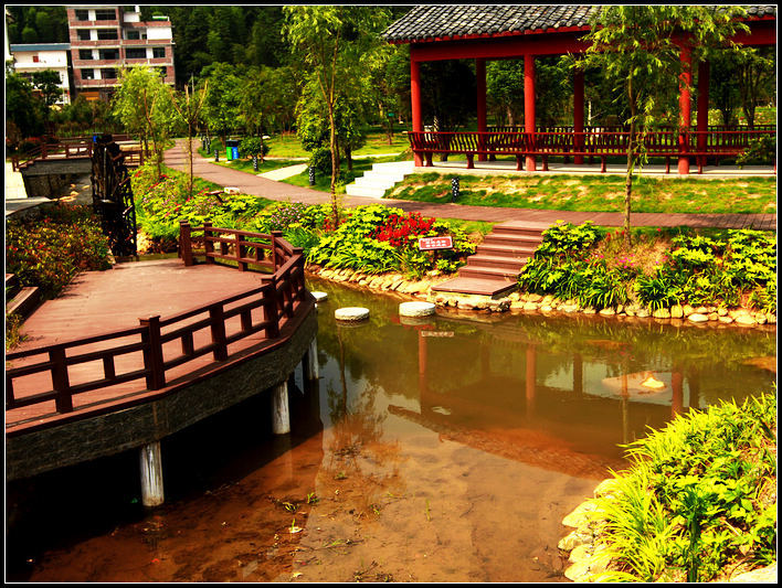 夏日公园
