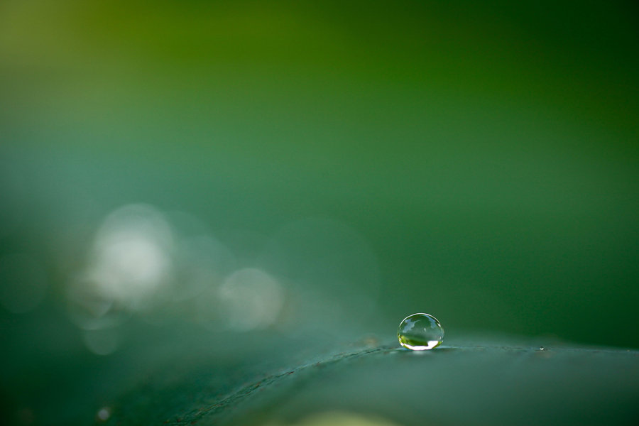 小水珠