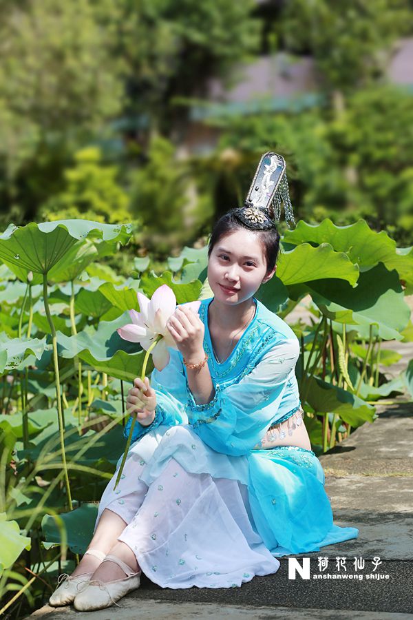 荷花仙子