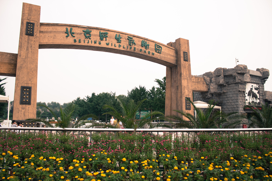 【北京野生动物园摄影图片】生态摄影
