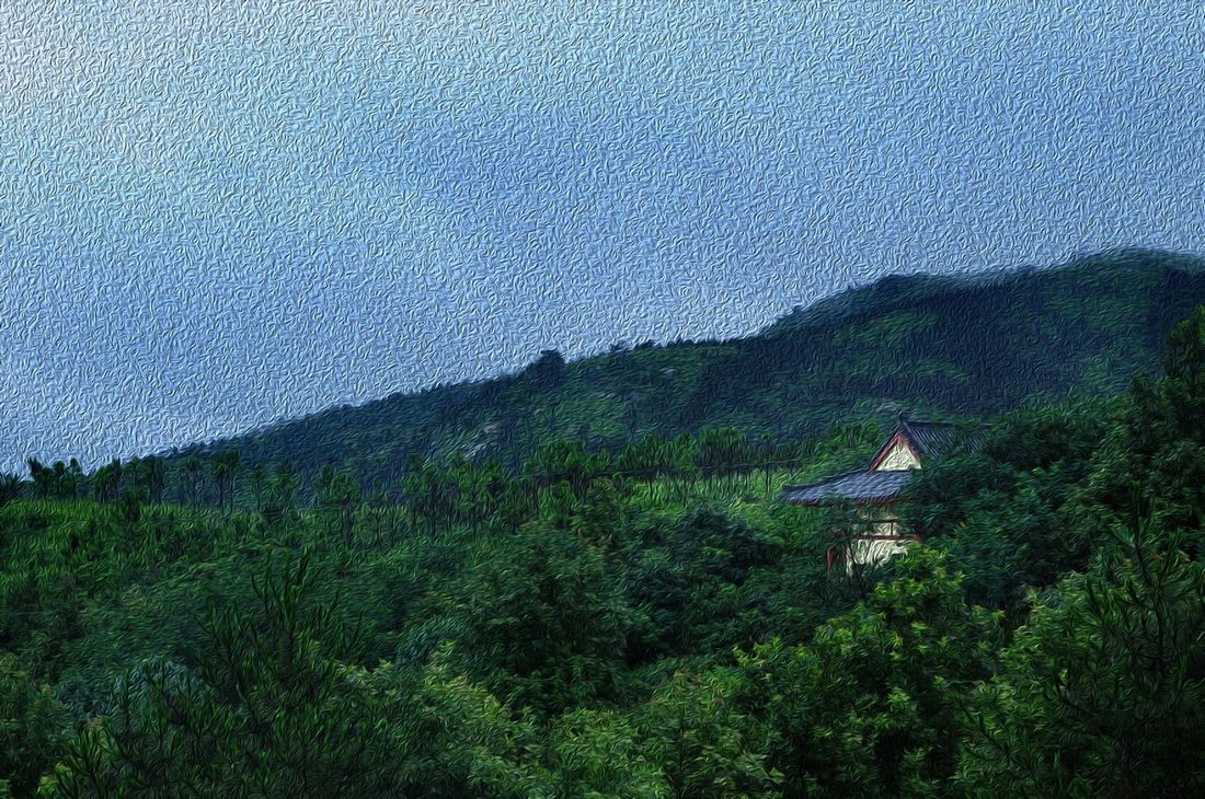 黄陂白龙寺