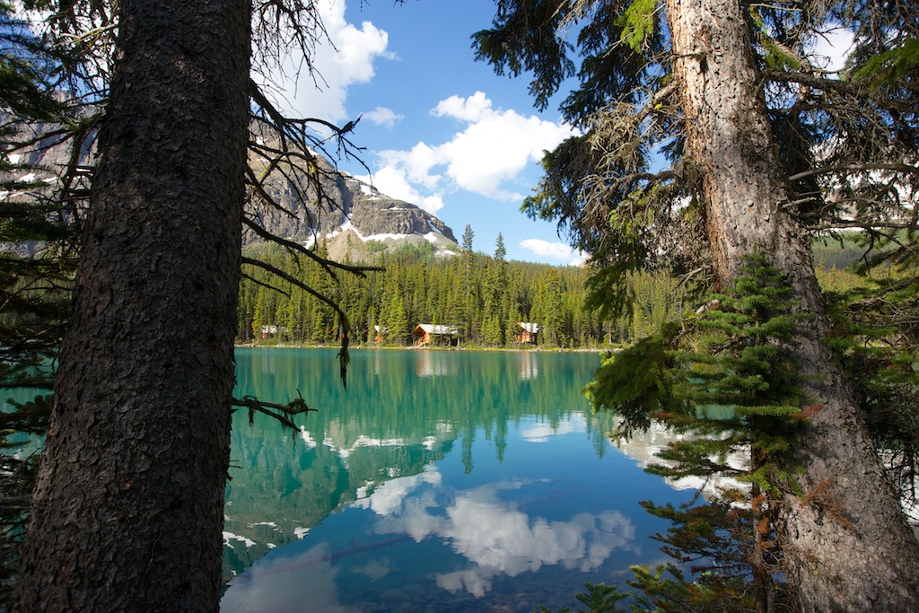 lake of o"hara and oesa