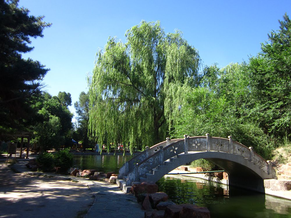 【家乡行之八:赤峰植物园摄影图片】内蒙古赤峰市植物园风光摄影_红山