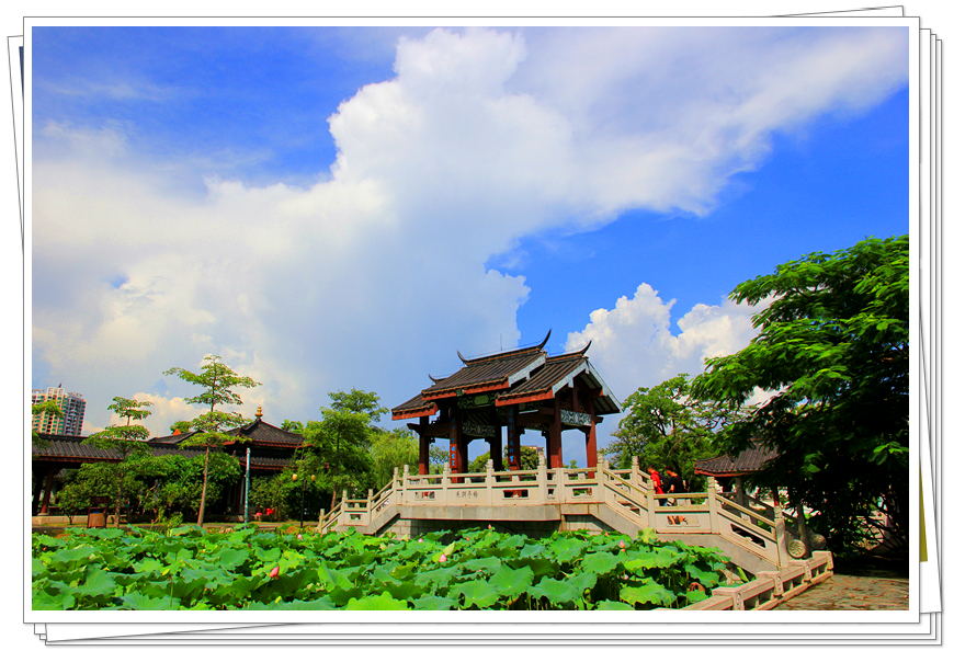 【惠州 丰诸园 美丽的天空摄影图片】惠州丰诸