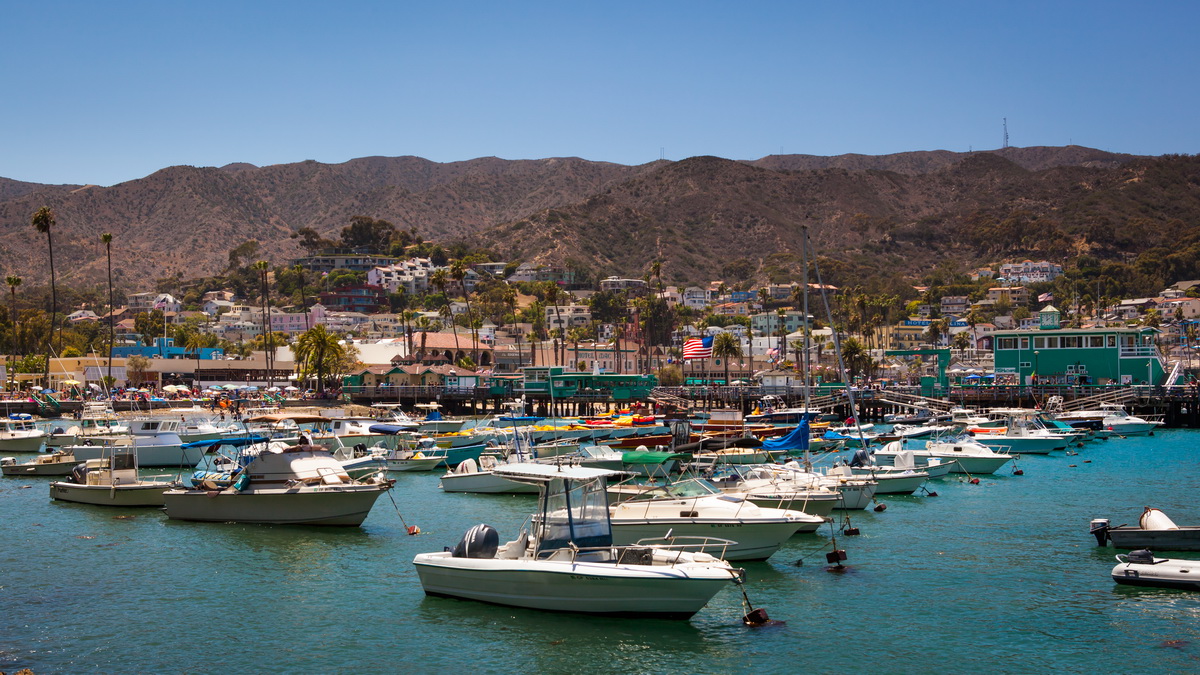 catalina island (3)