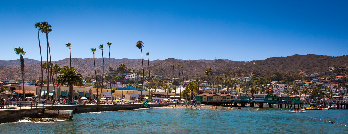 catalina island (3)