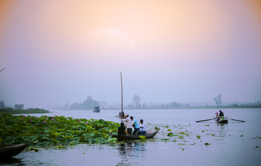 洪湖岸边是家乡