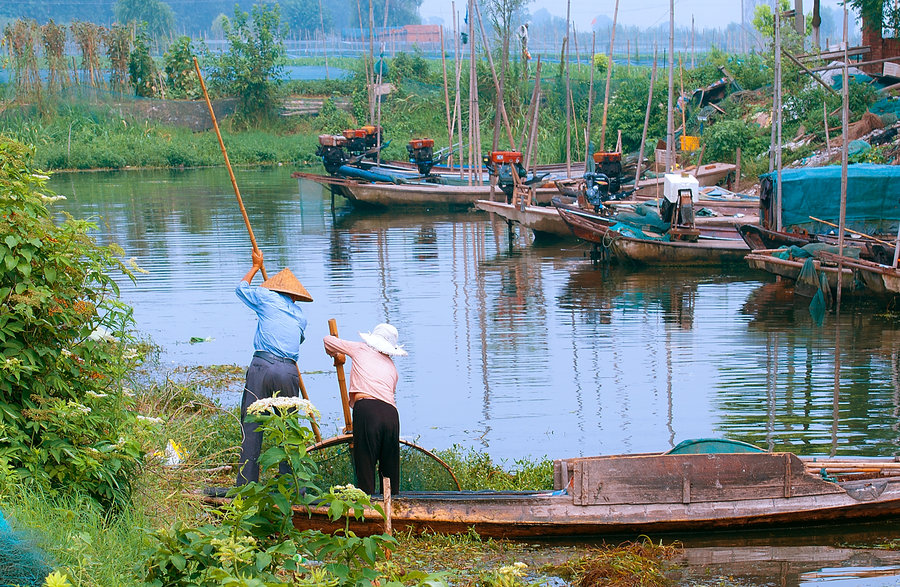 洪湖岸边是家乡