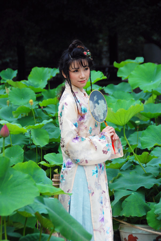 荷花仙子
