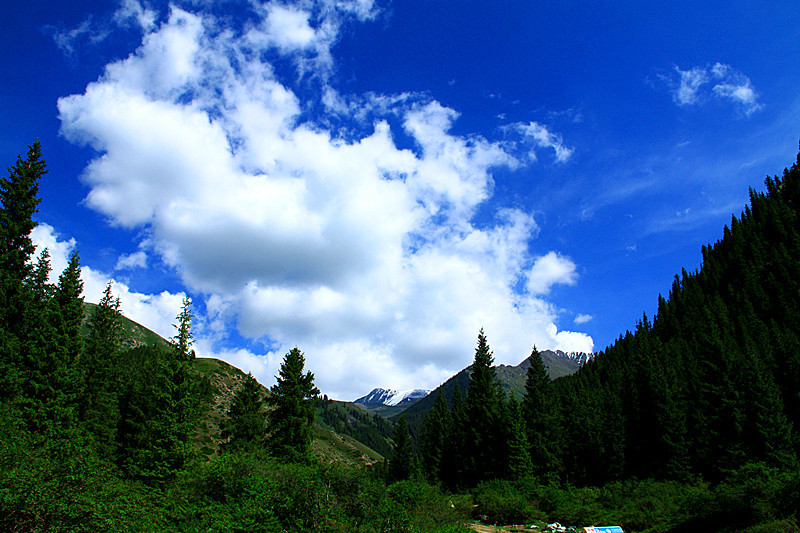 夏天的巴音那木景区