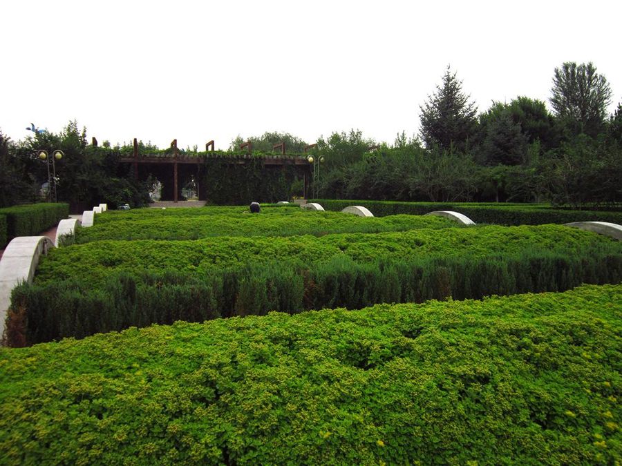 家乡行之四十赤峰新城植物园