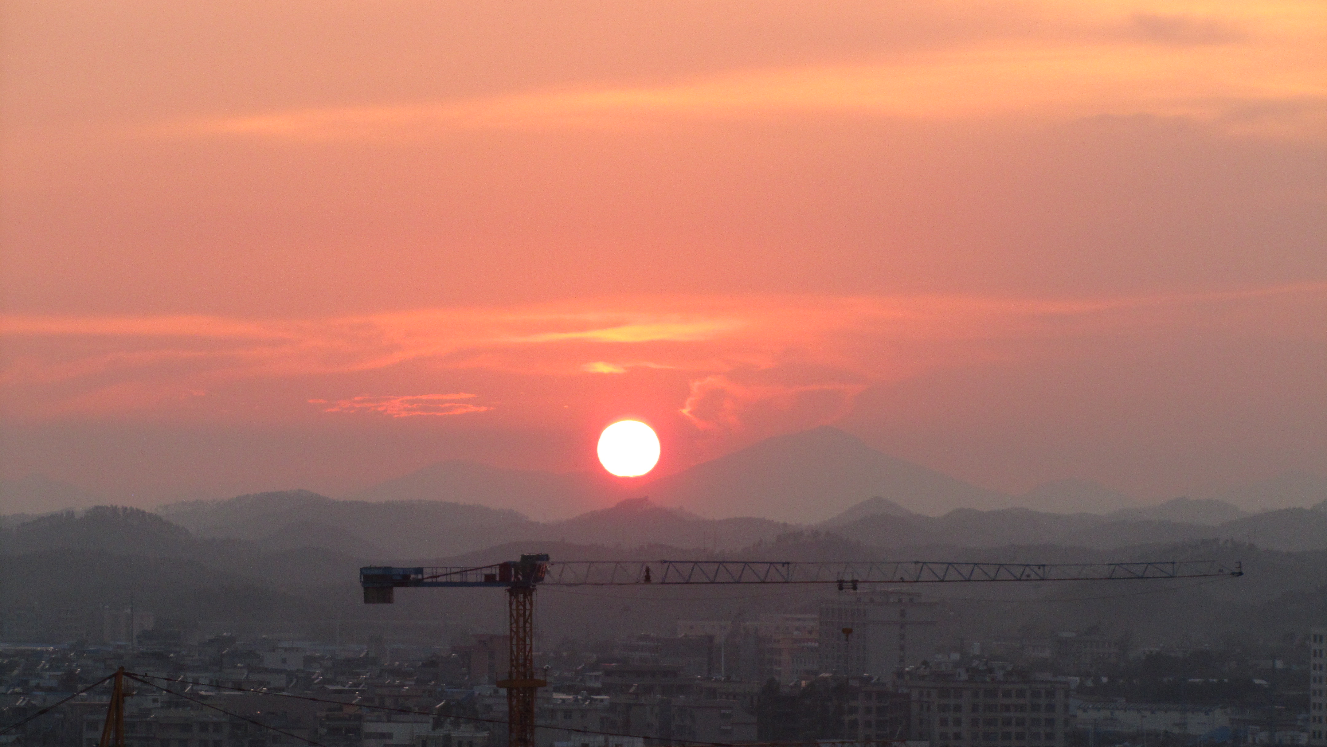夕阳红