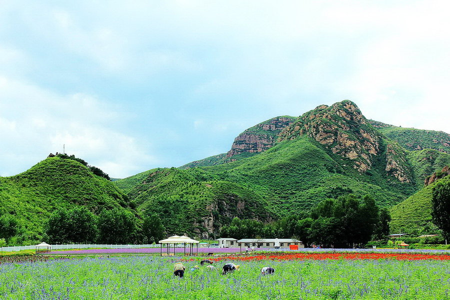 京郊旅游攻略攻略京郊旅游京郊旅游攻略京郊旅游道