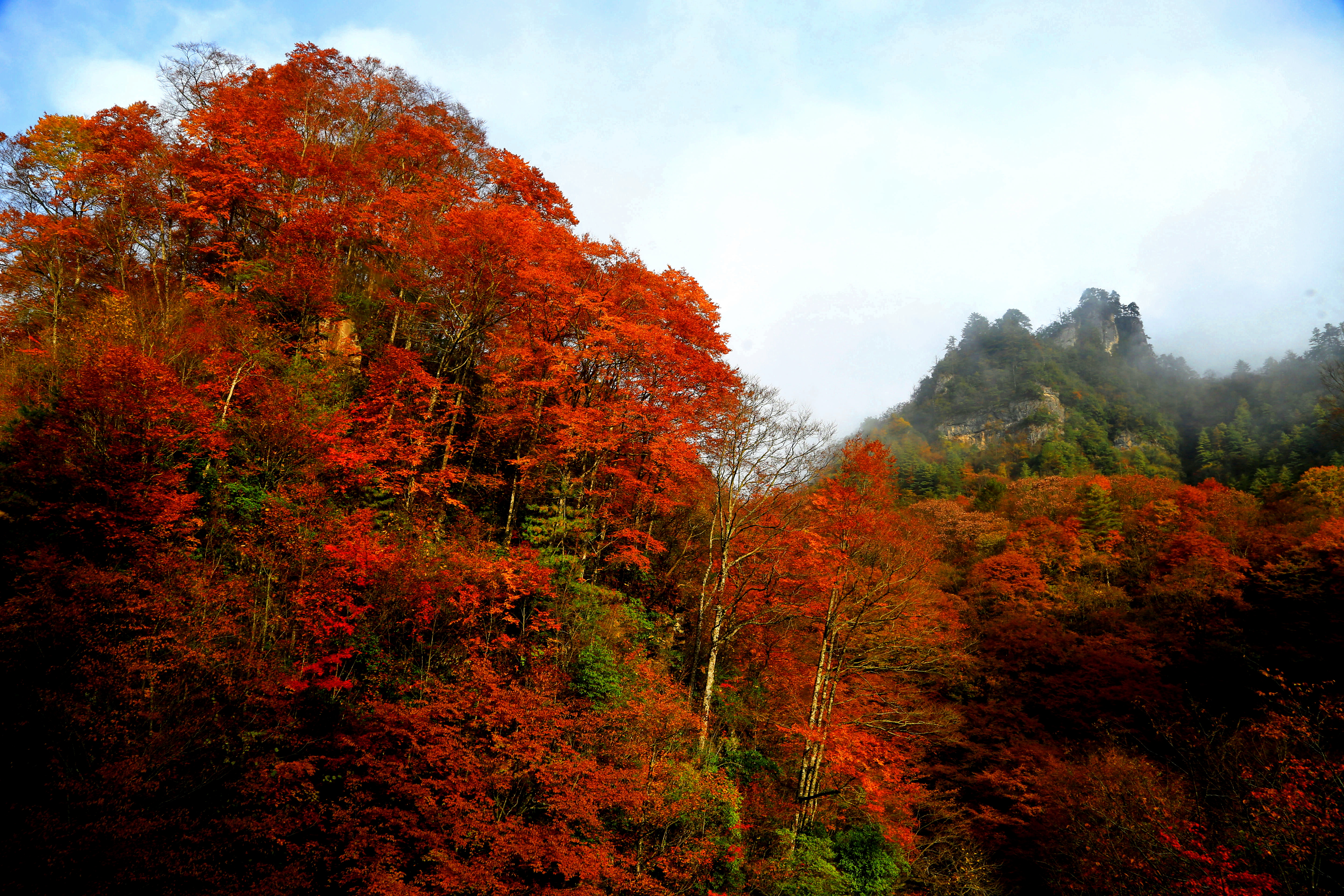 光雾山秋色