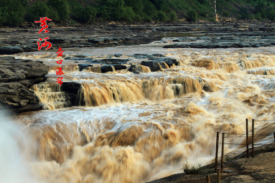 【黄河之水天上来摄影图片】陕西省风光摄影