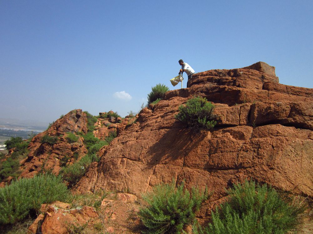 家乡行之六十:登红山