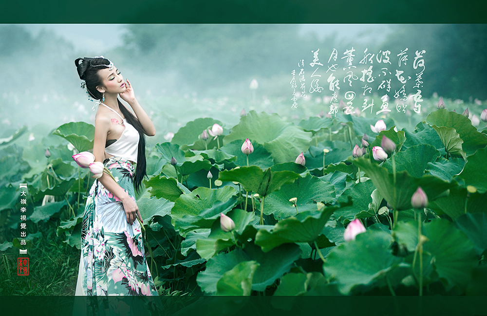 荷花羞玉颜