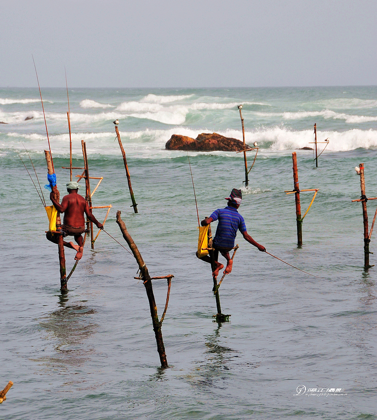 【高跷钓鱼(斯里兰卡7)摄影图片】斯里兰卡风光摄影_太平洋电脑网摄影部落