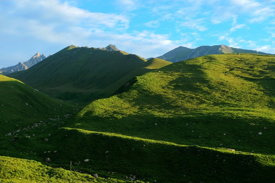 达里加山