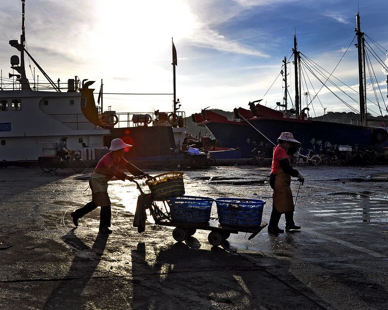 【即将消失的海鲜早市摄影图片】珠海 香洲渔