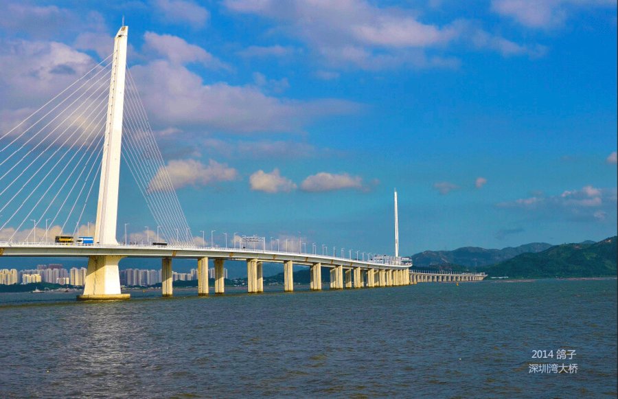 【深圳湾大桥摄影图片】深圳蛇口风光旅游摄影
