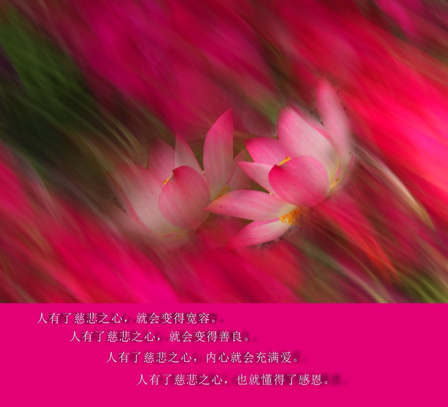 【火中生莲花摄影图片】五家渠高中v高中生态模型斜面图片