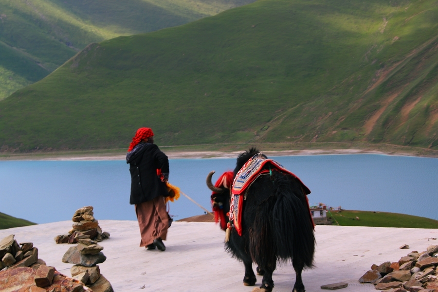 【《走进西藏08:高原牡歌》摄影图片】西藏纪