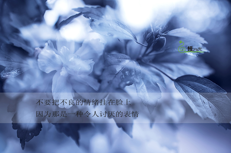 雨,是一种心情