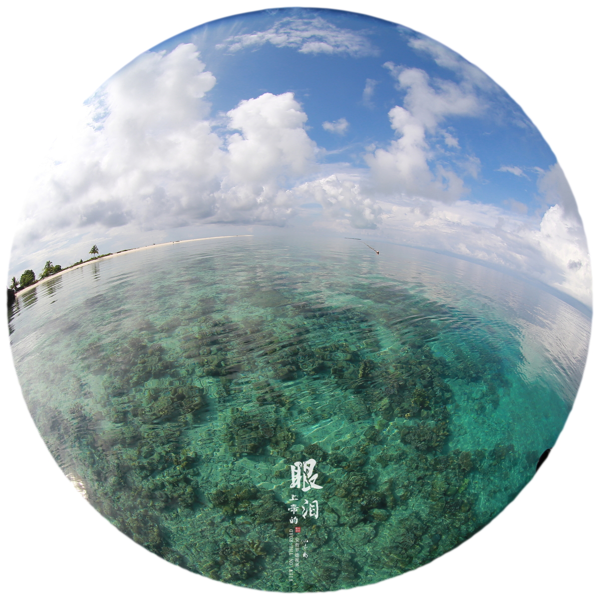 上帝的眼泪