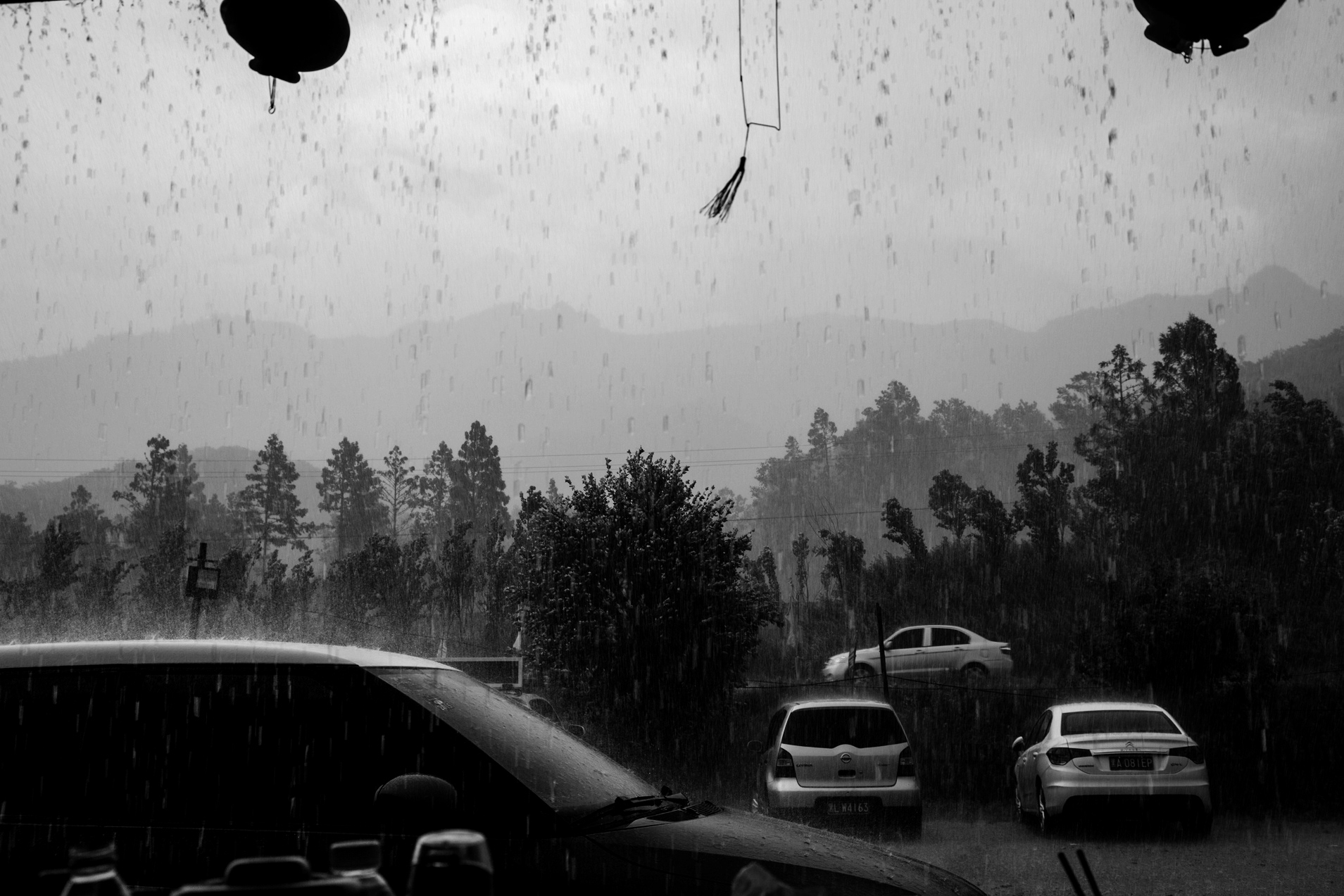 听风赏雨