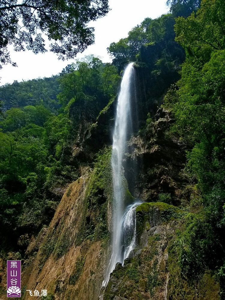 黑山谷一日游 (共p)