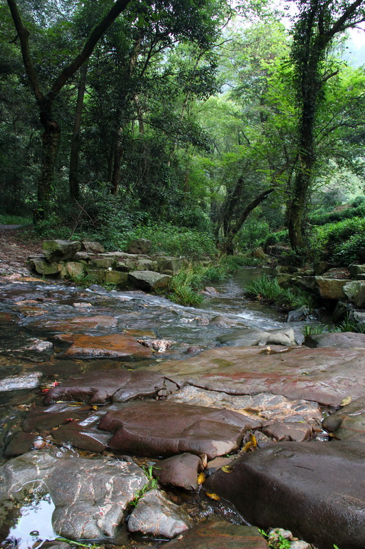 杭州九溪名胜路景