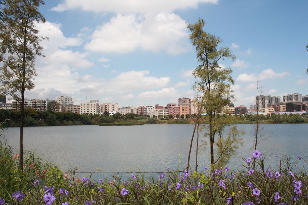 花都湖美景
