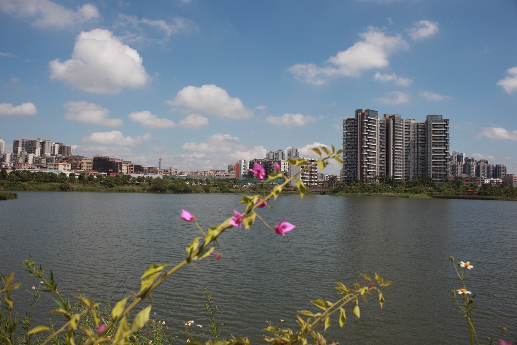 花都湖美景