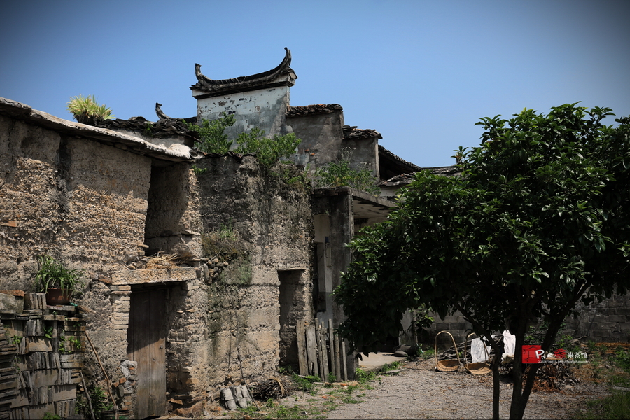 埠头村(上)-仙居采风记