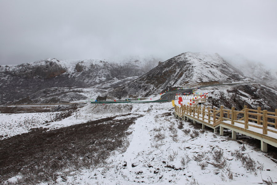 黄龙雪